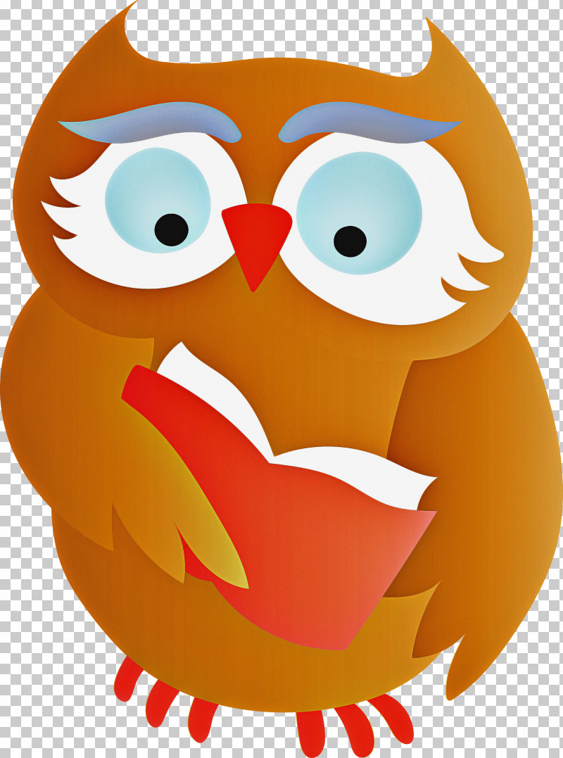 Birds Owls Beak Little Owl Bird Of Prey PNG, Clipart, Beak, Bird Of Prey, Birds, Cartoon, Cartoon Owl Free PNG Download