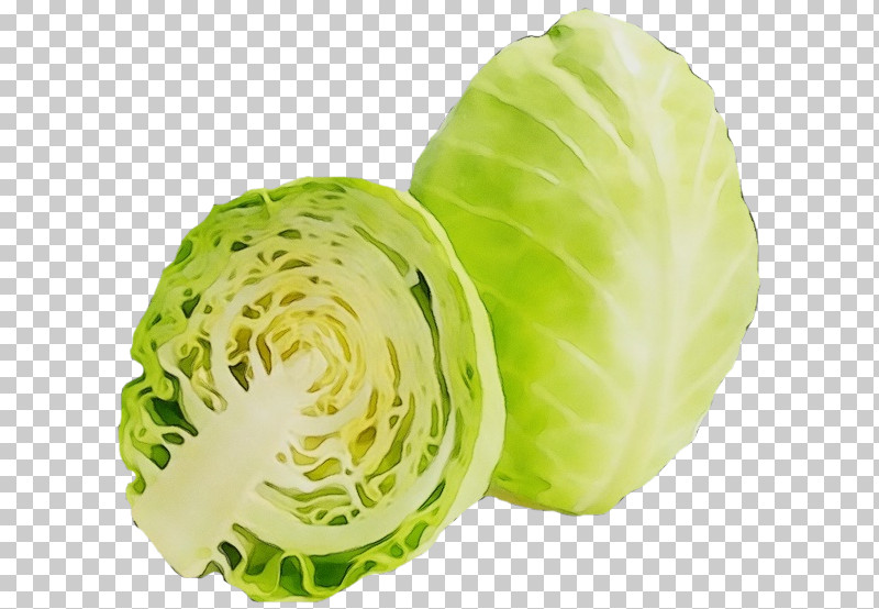 Cabbage Iceburg Lettuce Vegetable Leaf Vegetable Wild Cabbage PNG, Clipart, Brussels Sprout, Cabbage, Flower, Food, Iceburg Lettuce Free PNG Download