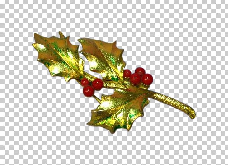 Holly Christmas Ornament Flowering Plant Leaf Fruit PNG, Clipart, Aquifoliaceae, Aquifoliales, Christmas, Christmas Ornament, Flowering Plant Free PNG Download