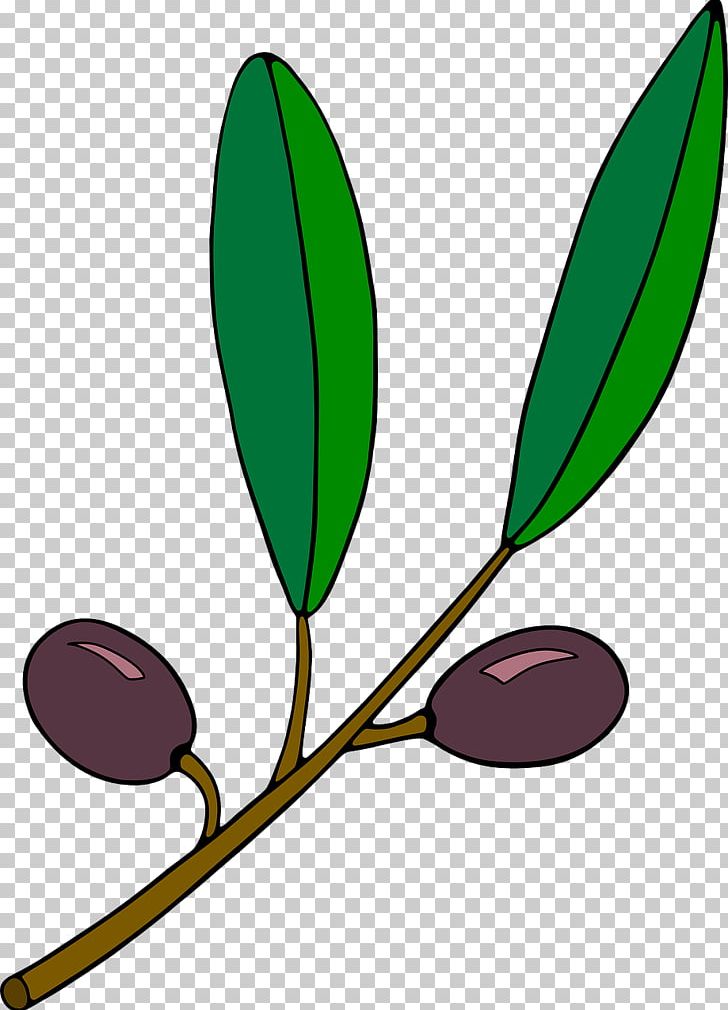 Olive Branch PNG, Clipart, Artwork, Blog, Branch, Computer Icons, Drawing Free PNG Download