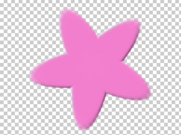 Photomontage Photography Star PNG, Clipart, Edition, Estrella, Flores, Invertebrate, Magenta Free PNG Download