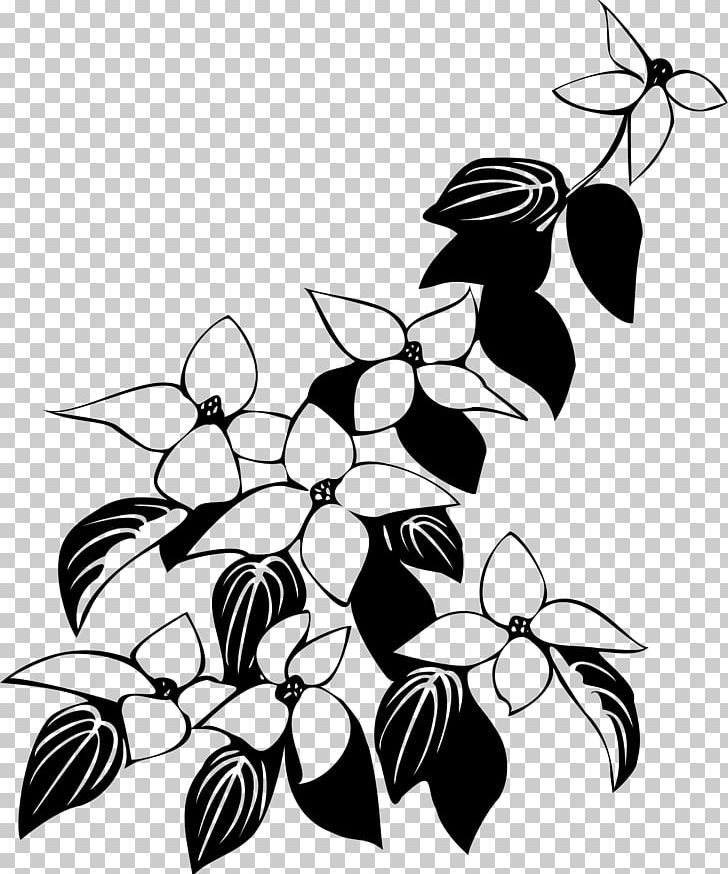 Flowering Dogwood Kousa Dogwood Drawing PNG, Clipart, Black And White, Branch, Color, Cornelian Cherry, Dogwood Free PNG Download