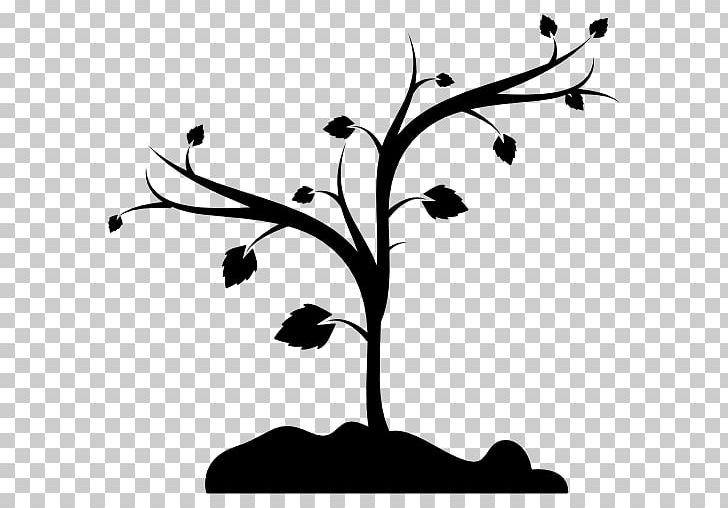 Fruit Tree Shape Branch PNG, Clipart, Black And White, Bonsai, Branch, Computer Icons, Encapsulated Postscript Free PNG Download