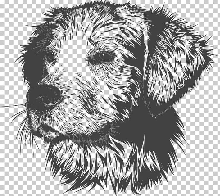 Golden Retriever Puppy Dog Training Pet Veterinarian PNG, Clipart, Black And White, Carnivoran, Chinese New Year, Cuteness, Dog Breed Free PNG Download