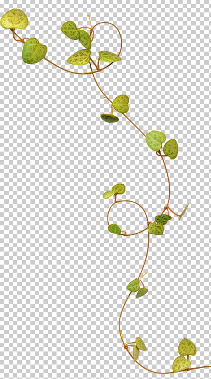 Green Vine PNG, Clipart, Art, Branch, Computer Icons, Download, Flora Free PNG Download