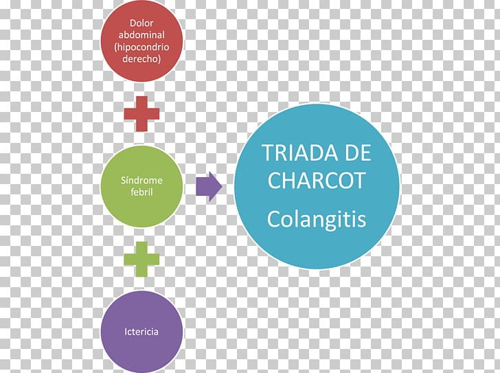 Charcot's Triad Ascending Cholangitis Medicine Physician Disease PNG, Clipart,  Free PNG Download