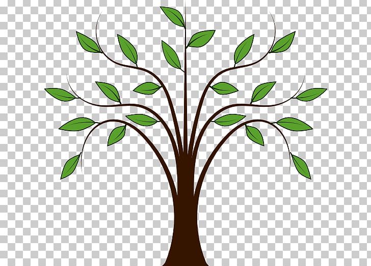 Tree Free Content PNG, Clipart, Blog, Branch, Family Tree, Flora, Flower Free PNG Download