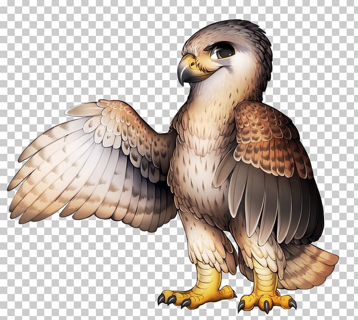 Bird Of Prey Peregrine Falcon PNG, Clipart, Accipitriformes, Animals, Bald Eagle, Beak, Bird Free PNG Download