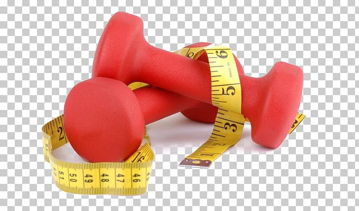 Physical Fitness Weight Training Physical Exercise Weight Loss Personal Trainer PNG, Clipart, Abdominal Exercise, Aerobic Exercise, Boxing Glove, Cardiovascular Fitness, Decorative Elements Free PNG Download