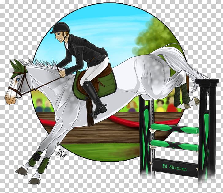 Show Jumping Hunt Seat Rein Stallion Equitation Png Clipart Bit