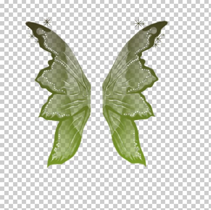 Silkworm Moth Leaf PNG, Clipart, Bombycidae, Butterfly, Insect, Invertebrate, Leaf Free PNG Download