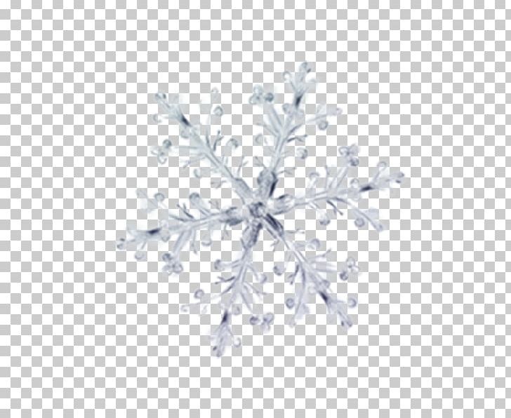Winter Petal Ice Pattern PNG, Clipart, Black And White, Decorative, Decorative Elements, Decorative Pattern, Download Free PNG Download