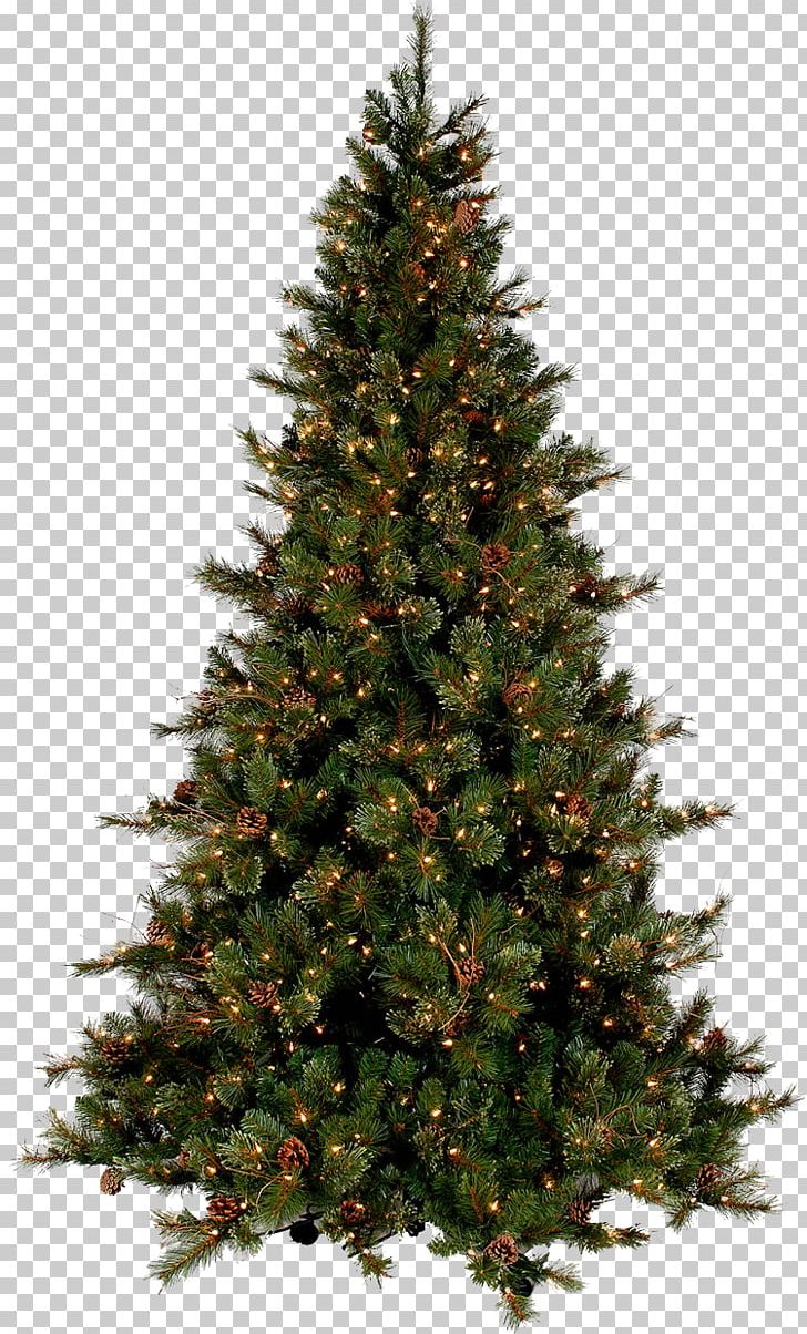 Christmas Tree Santa Claus PNG, Clipart, Christmas, Christmas And Holiday Season, Christmas Decoration, Christmas Gift, Christmas Ornament Free PNG Download