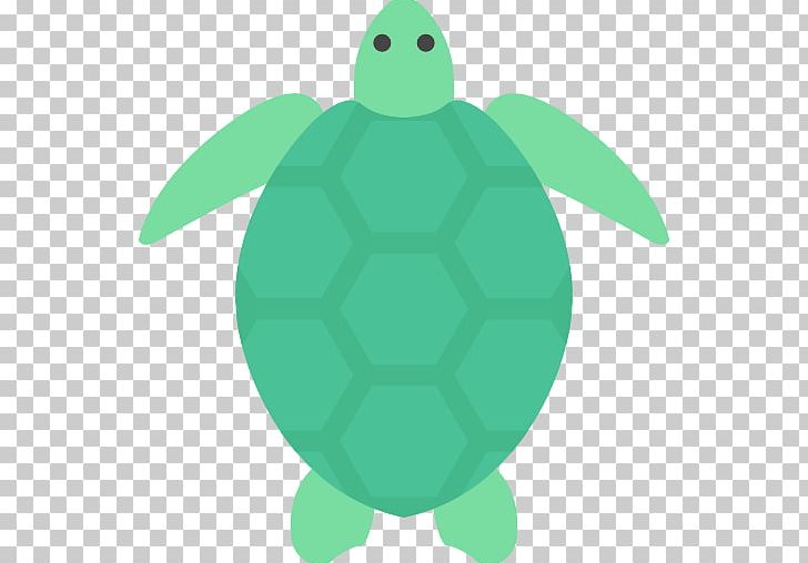 Green Sea Turtle Green Sea Turtle Cheloniidae Tortoise PNG, Clipart, Animals, Cheloniidae, Color, Computer Icons, Grass Free PNG Download