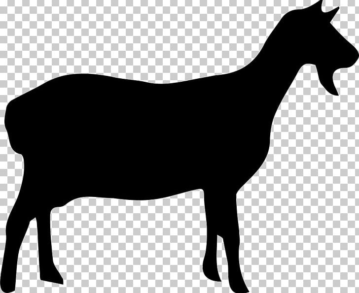 Horse Portable Network Graphics Graphics PNG, Clipart, Animals, Black And White, Cattle Like Mammal, Cdr, Cow Goat Family Free PNG Download