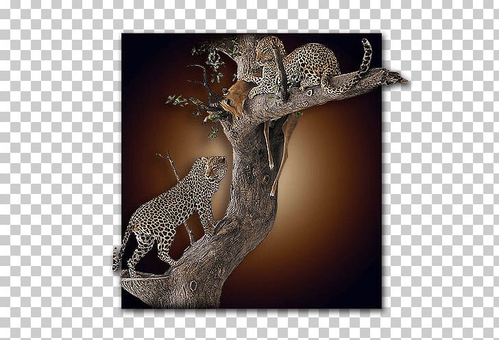 Leopard Jaguar Cheetah Terrestrial Animal Wildlife PNG, Clipart, Animal, Big Cats, Carnivoran, Cat Like Mammal, Cheetah Free PNG Download