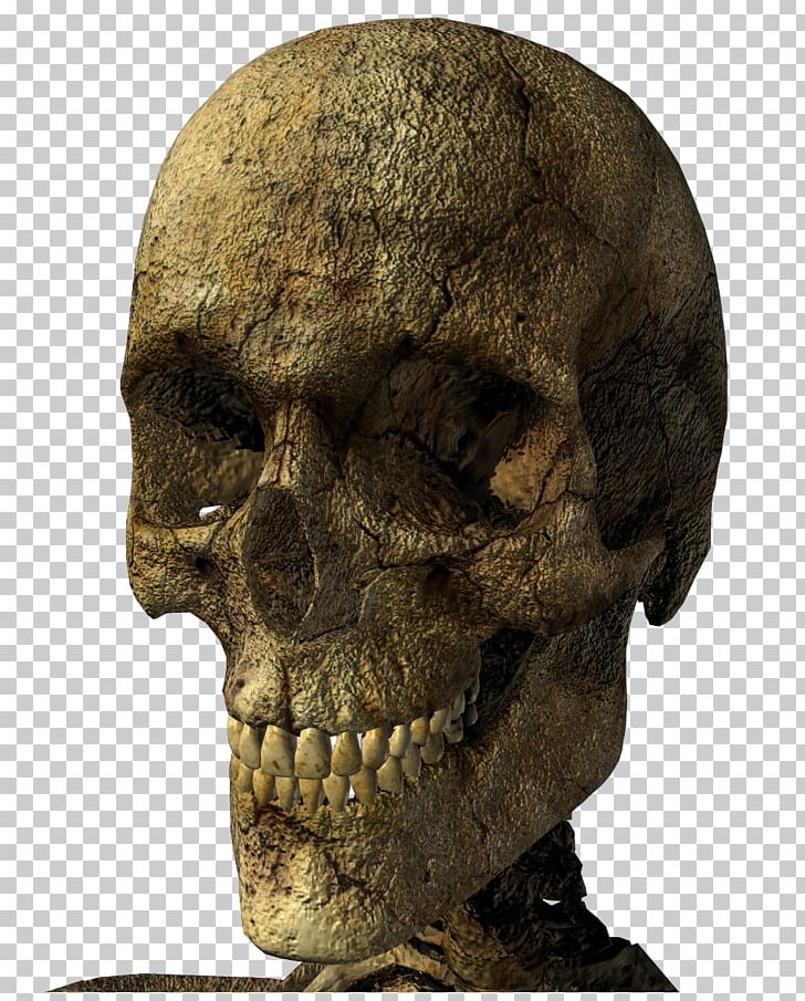 Skeleton Skull PNG, Clipart, Bone, Depositfiles, Digital Image, Download, Fantasy Free PNG Download