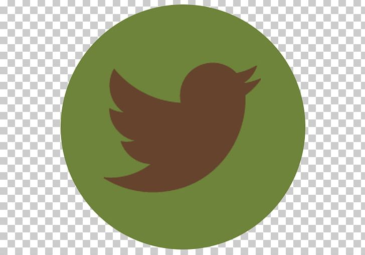 Social Media Marketing Allied Systems & Controls Inc Society Graham Creek Nature Preserve PNG, Clipart, Beak, Bird, Business, Circle, Grass Free PNG Download
