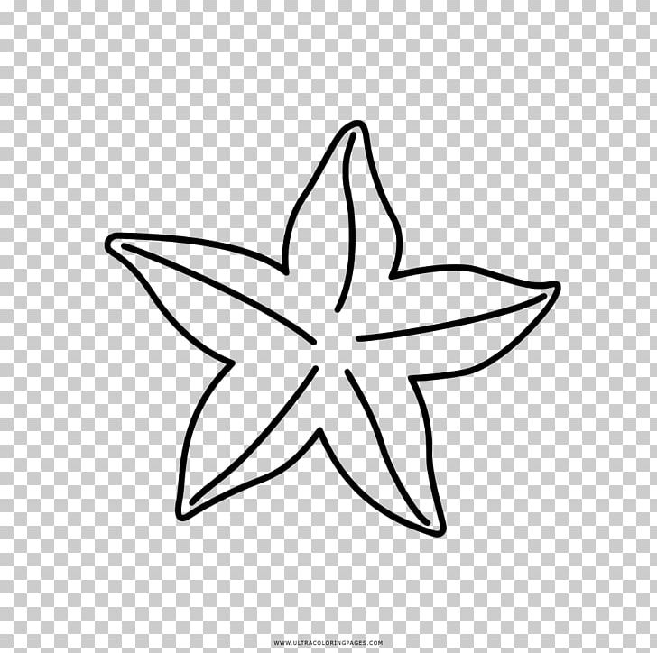 Coloring Book Drawing Starfish PNG, Clipart, Angle, Area, Artwork, Ausmalbild, Black And White Free PNG Download