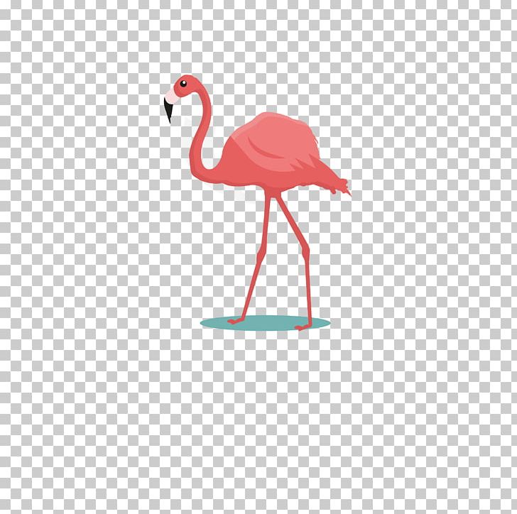 Flamingos Bird Common Ostrich Parrot Cartoon PNG, Clipart, Animals, Animation, Beak, Birds, Crane Like Bird Free PNG Download