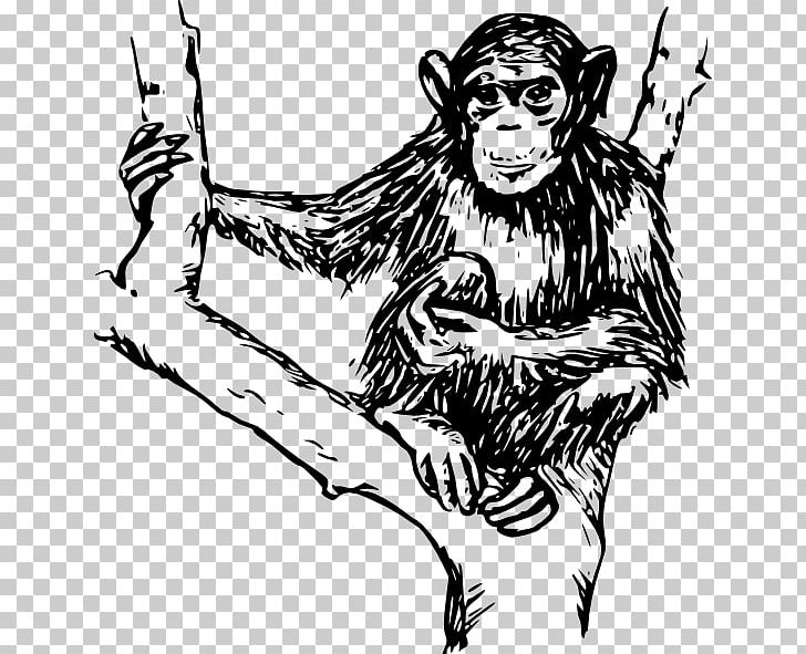 Ape Chimpanzee Monkey PNG, Clipart, Animals, Ape, Art, Big Cats, Carnivoran Free PNG Download