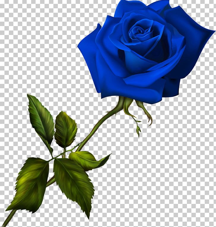 Blue Rose Flower Garden Roses PNG, Clipart, Adobe Fireworks, Blue, Bluegreen, Blue Rose, Color Free PNG Download