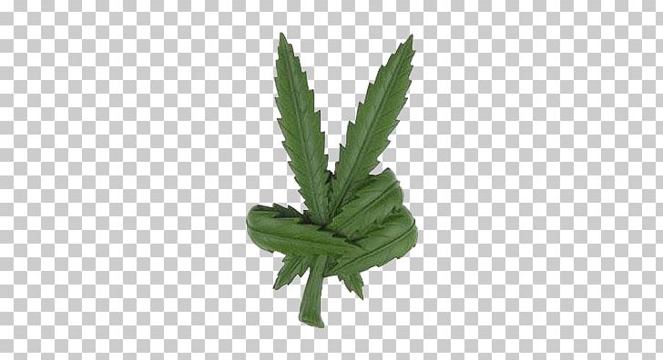 Cannabis Peace Symbols Leaf Smoking PNG, Clipart, Bong, Cannabis, Cannabis Smoking, Clip Art, Decal Free PNG Download