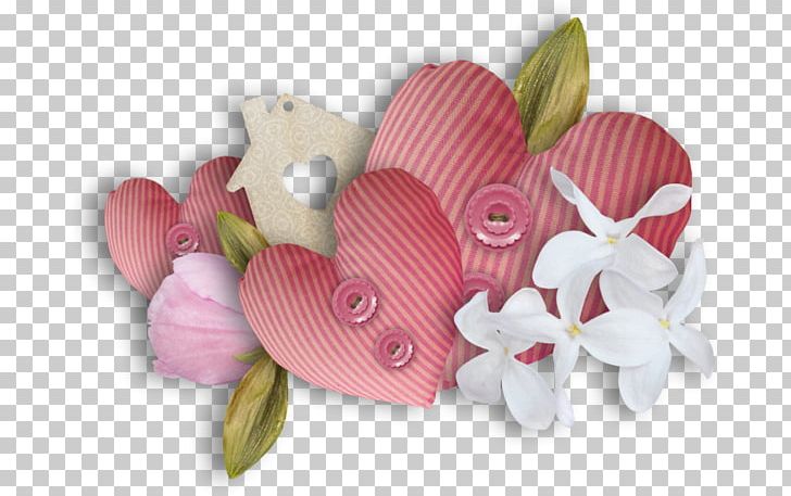 Photography Others Flower PNG, Clipart, Cut Flowers, Download, Encapsulated Postscript, Flower, Flowering Plant Free PNG Download