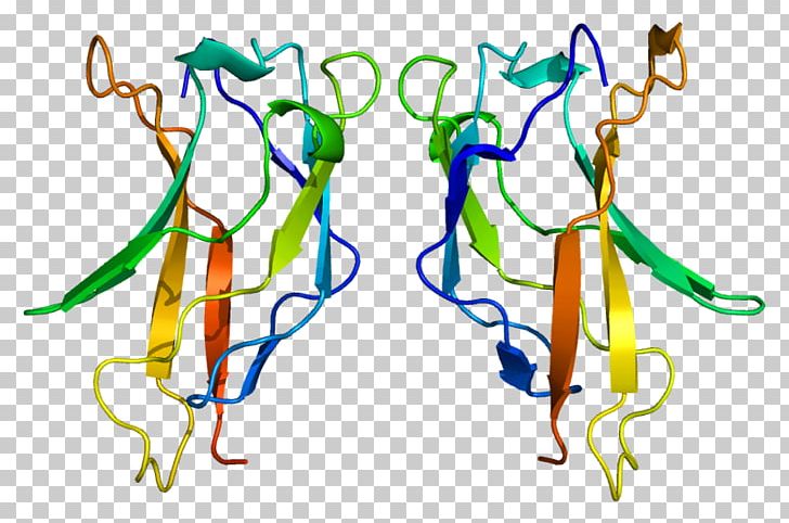 RELA Protein Subunit NF-κB PNG, Clipart, Area, Art, Artwork, Bft, Dimer Free PNG Download