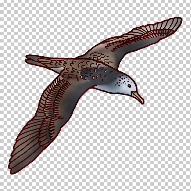 Beak Seabird PNG, Clipart, Beak, Paint, Seabird, Watercolor, Wet Ink Free PNG Download