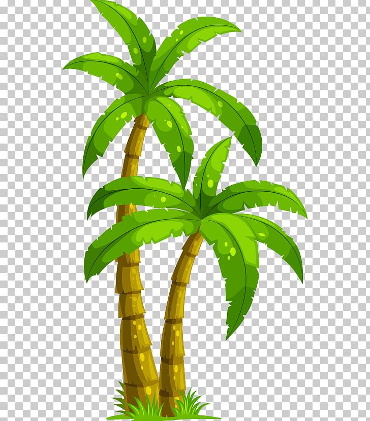 Coconut Arecaceae Tree PNG, Clipart, Arecales, Balloon Cartoon, Boy Cartoon, Cartoon Character, Cartoon Cloud Free PNG Download