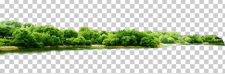 Landscape Greening PNG, Clipart, Brand, Cottonwood, Food Drinks, Google Images, Grass Free PNG Download