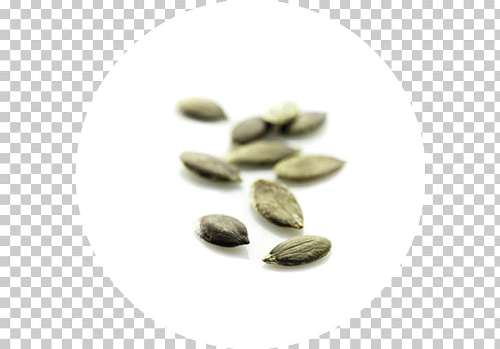 Peppermint Hybrid Pumpkin Seed Commodity PNG, Clipart, Commodity, Cucurbita Pepo, Drug, Herbaceous Plant, Hybrid Free PNG Download