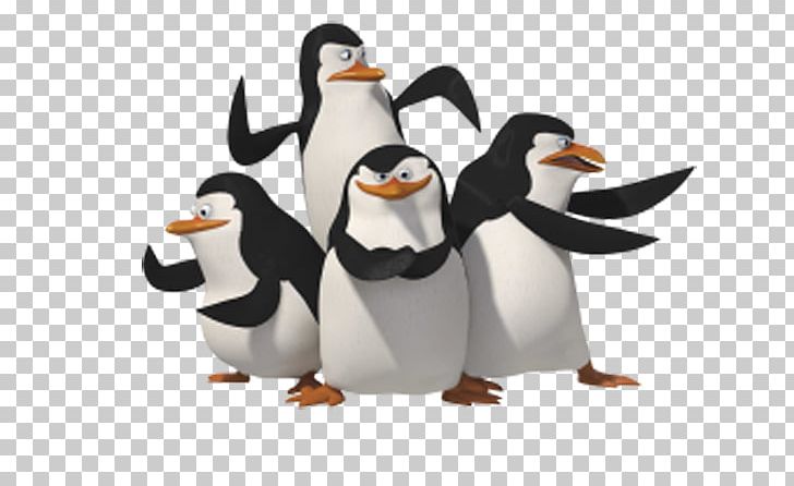 The Penguins Of Madagascar The Penguins Of Madagascar DreamWorks Television Show PNG, Clipart, Animation, Bird, Black, Black, Cartoon Free PNG Download