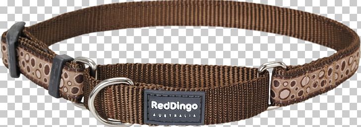 Dog Collar Dingo Dog Collar Leash PNG, Clipart, Animals, Belt, Belt Buckle, Buckle, Centimeter Free PNG Download