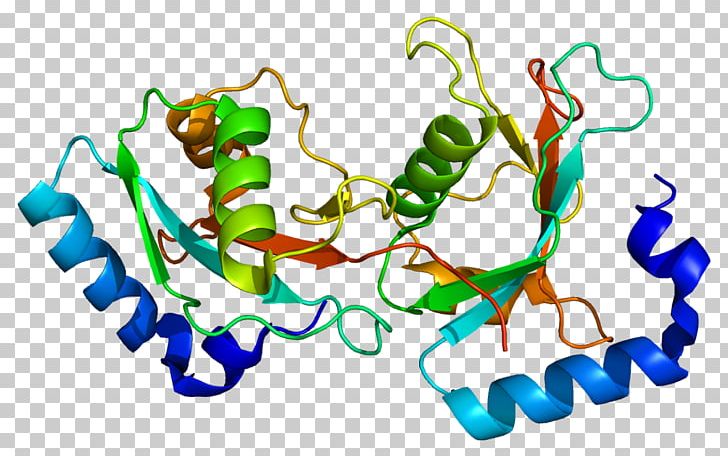 GABARAPL2 ULK1 Autophagy Gene GABA Receptor PNG, Clipart, Area, Artwork, Atg4a, Autophagy, Gabaa Receptor Free PNG Download