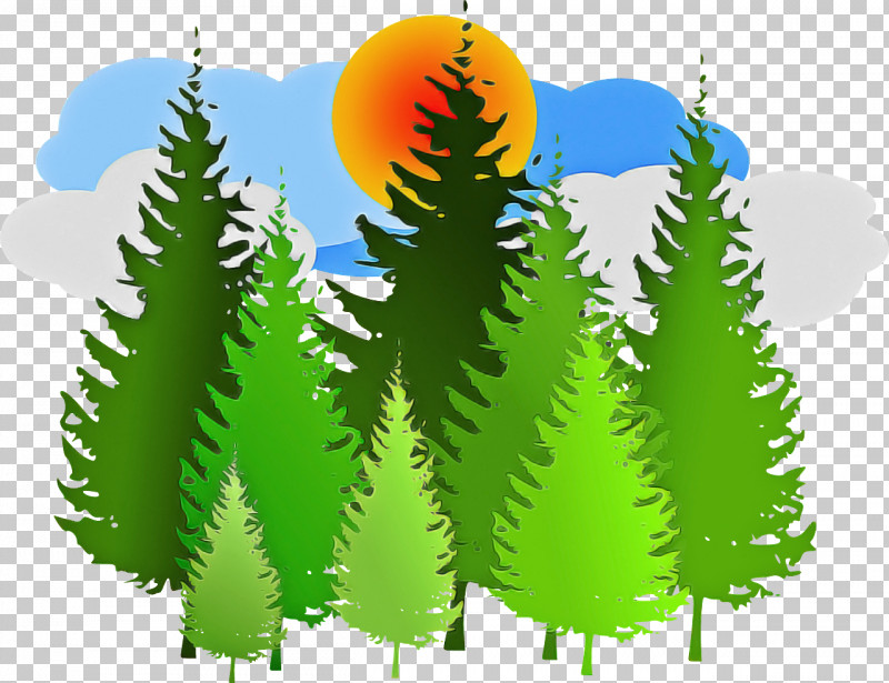 Vegetation Tree Leaf Plant Biome PNG, Clipart, American Larch, Biome, Conifer, Evergreen, Fir Free PNG Download