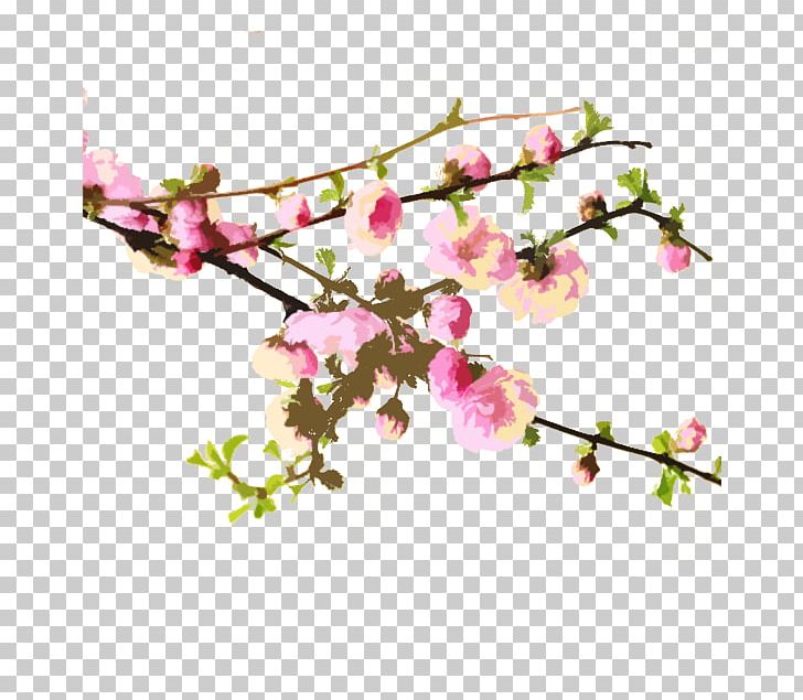 Cherry Blossom Peach PNG, Clipart, Big, Big Map Network, Blossom, Branch, Decoration Free PNG Download