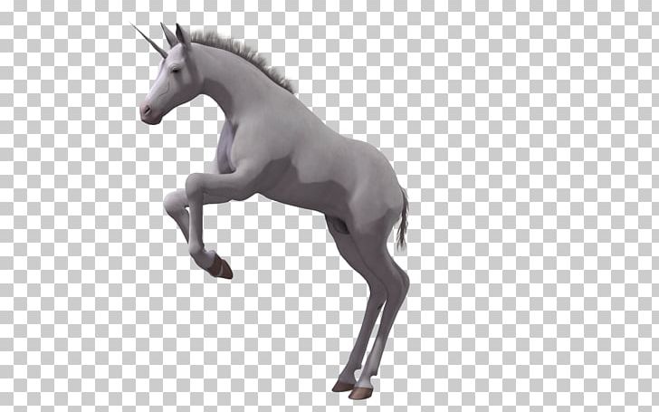 Mustang Foal Stallion Colt Mare PNG, Clipart, Black And White, Cartoon, Cartoon Horse, Download, Drawing Free PNG Download