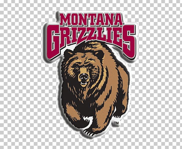University Of Montana Montana Grizzlies Football Sport Edwin Rhodes Elementary School PNG, Clipart, Bear, Brand, Carnivoran, College Athletics, Fauna Free PNG Download
