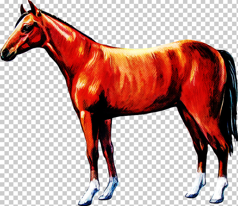 Horse Animal Figure Sorrel Mane Mare PNG, Clipart, Animal Figure, Horse, Liver, Mane, Mare Free PNG Download