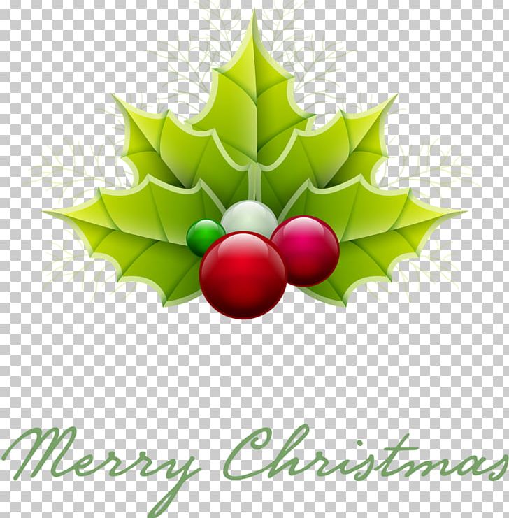 Christmas Ornament Christmas Tree Santa Claus PNG, Clipart, Aquifoliaceae, Candle, Christmas, Christmas Decoration, Christmas Ornament Free PNG Download