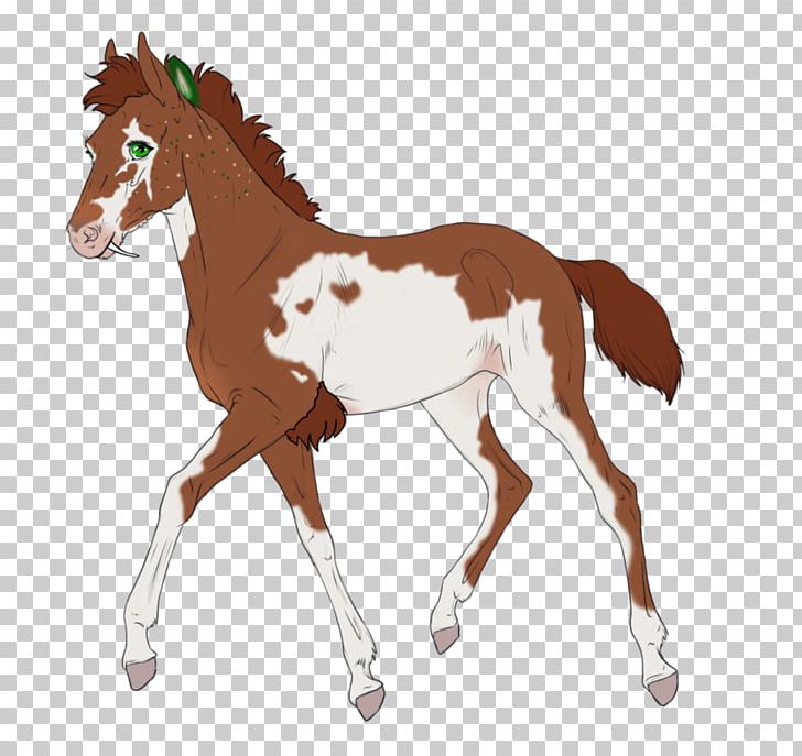 Foal Mustang Colt Stallion Mare PNG, Clipart,  Free PNG Download