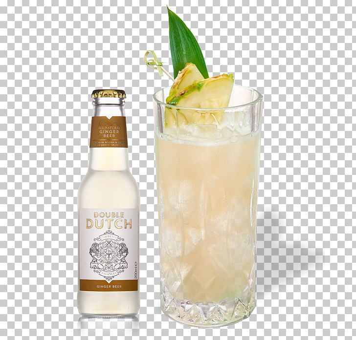 Ginger Beer Tonic Water Drink Mixer Fizzy Drinks PNG, Clipart, Alc, Alcohol By Volume, Alcoholic Beverage, Beer, Carbonated Water Free PNG Download