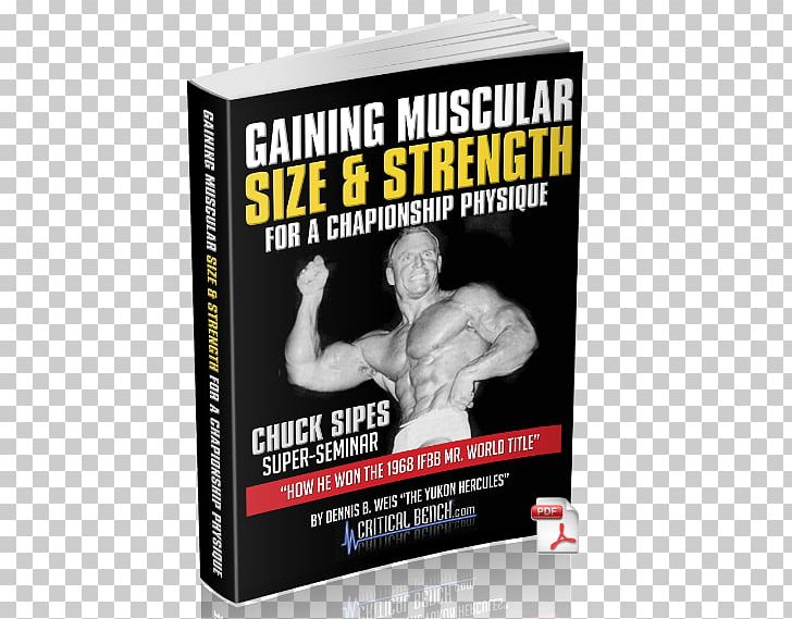Achieving Total Muscularity Muscle Poster Product Seminar PNG, Clipart,  Free PNG Download