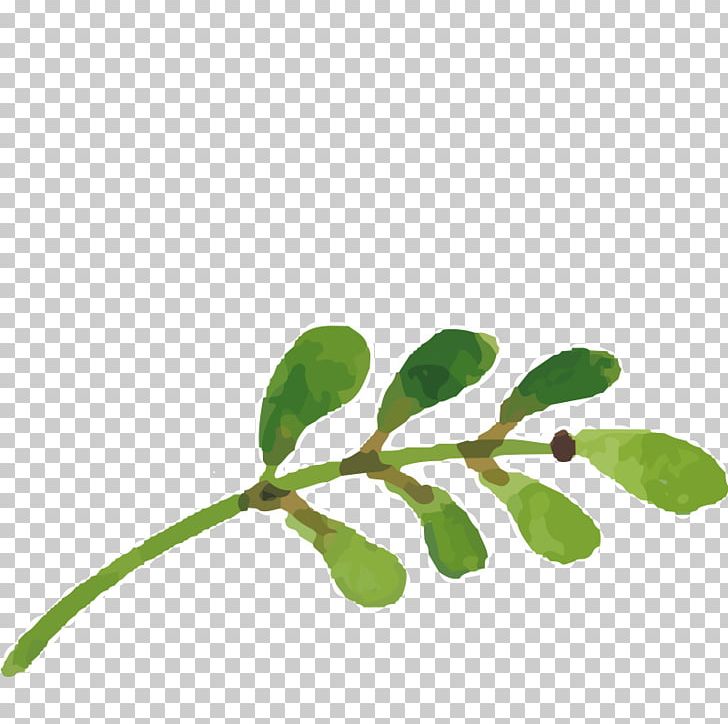 Branch Leaf Watercolor Painting Oil Painting PNG, Clipart, Download, Effect, Encapsulated Postscript, Flower, Handpainted Free PNG Download