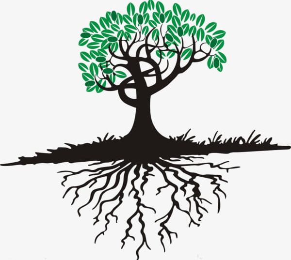 Cartoon Tree Roots Free Buckle Material PNG, Clipart, Black, Buckle Clipart, Cartoon Clipart, Free Clipart, Material Clipart Free PNG Download