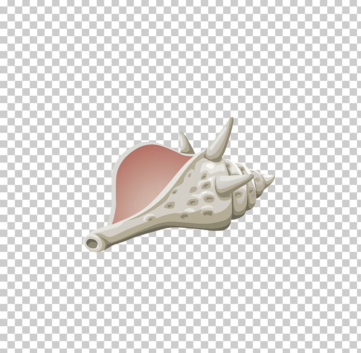Conch Seashell PNG, Clipart, Blog, Clip Art, Computer Icons, Conch, Drawing Free PNG Download
