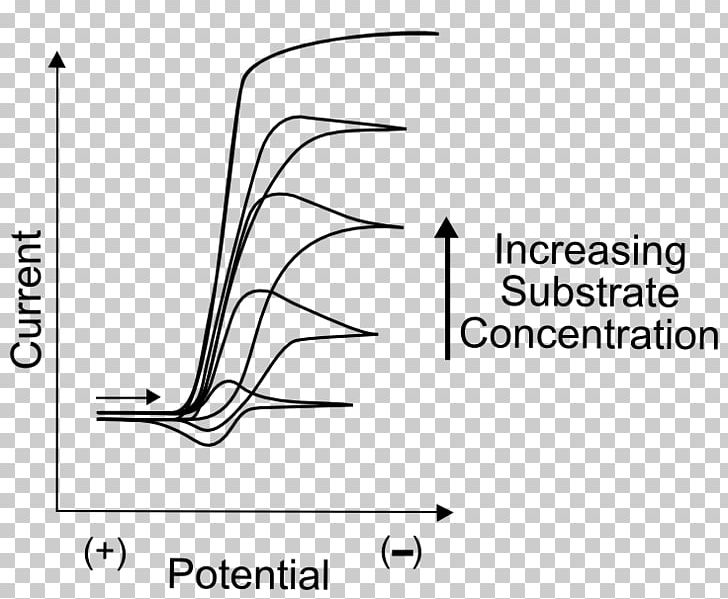 Enzyme Substrate Catalysis Cyclic Voltammetry Electrochemistry PNG, Clipart, Angle, Arm, Black, Black And White, Brand Free PNG Download