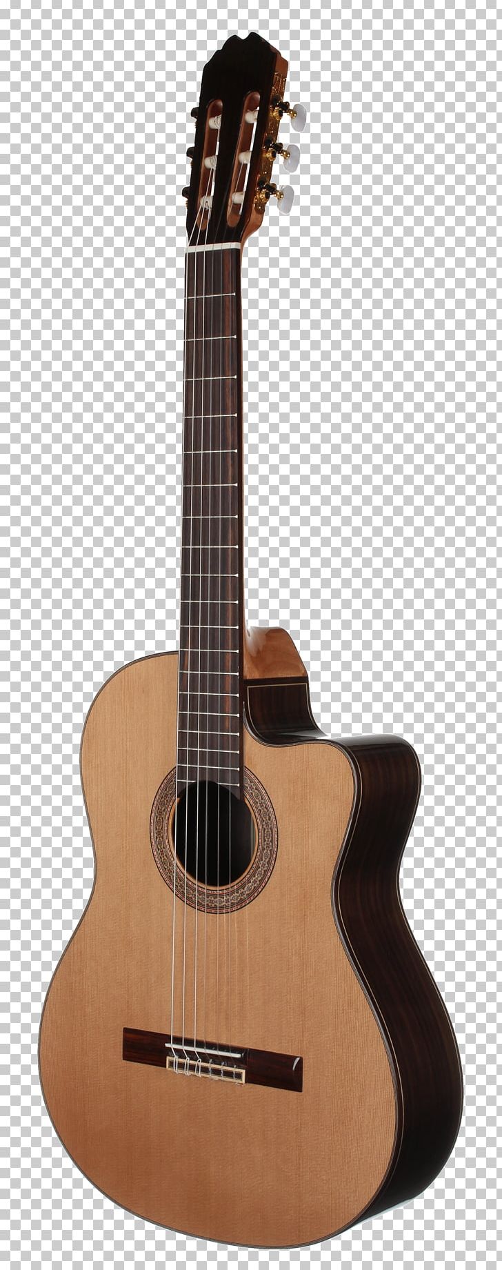 Taylor Guitars Classical Guitar Steel-string Acoustic Guitar Musical Instruments PNG, Clipart, Acoustic Electric Guitar, Bridge, Classical Guitar, Cuatro, Guitar Accessory Free PNG Download